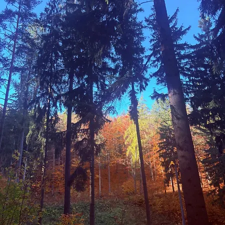 Bryziowka B * Miłków