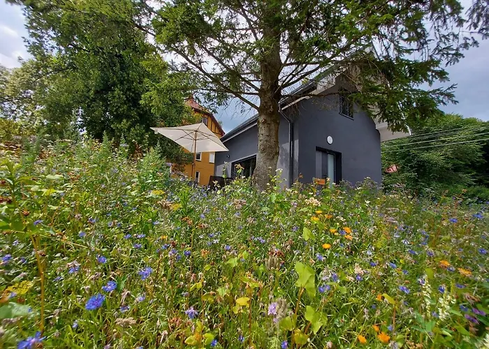 Bryziowka B Holiday home